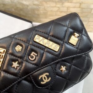 Chanel Lucky Charm Classic Flap Bag